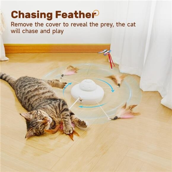 Cat Toys Chargeable, 3in1 Hide and Seek for Kittens, Interactive - Picture 12 of 16